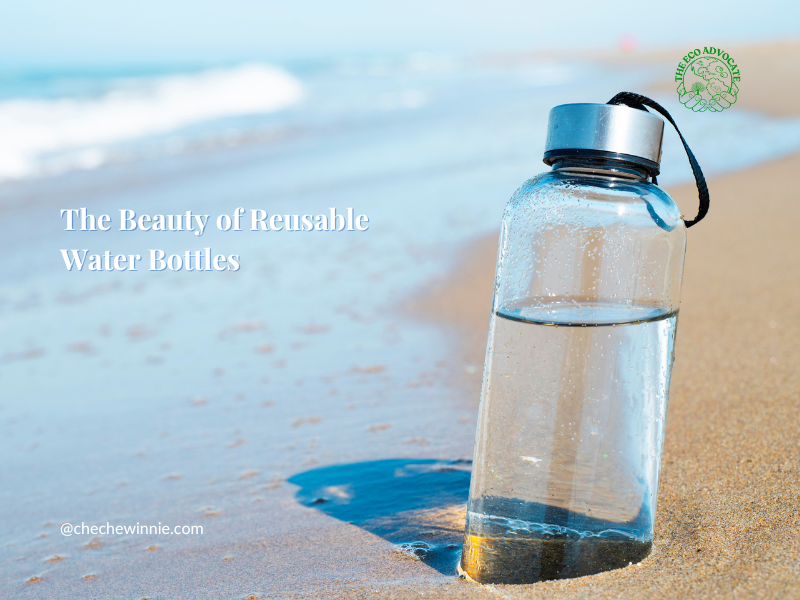 The Beauty of Reusable Water Bottles
