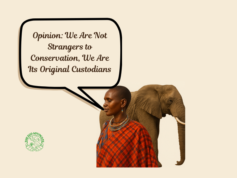 Opinion: We Are Not Strangers to Conservation, We Are Its Original Custodians
