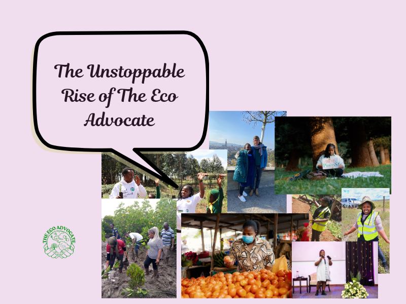 The Unstoppable Rise of The Eco Advocate