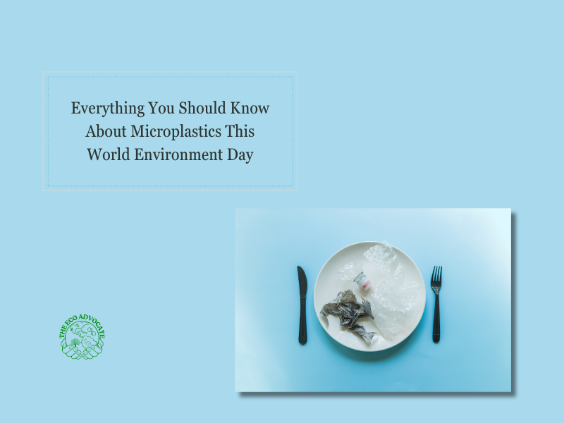 Everything You Should Know About Microplastics This World Environment Day