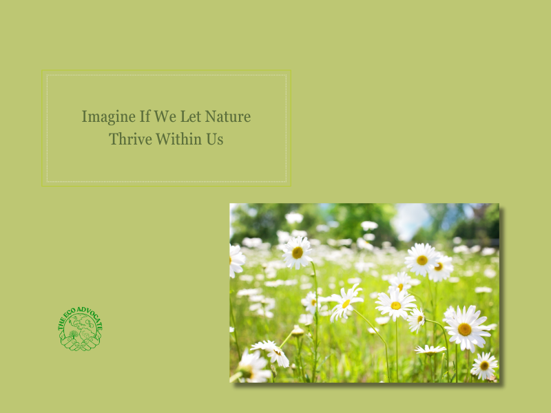 Imagine If We Let Nature Thrive Within Us
