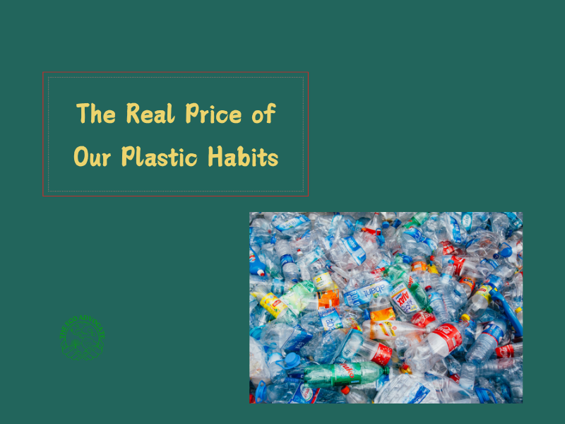The Real Price of Our Plastic Habits