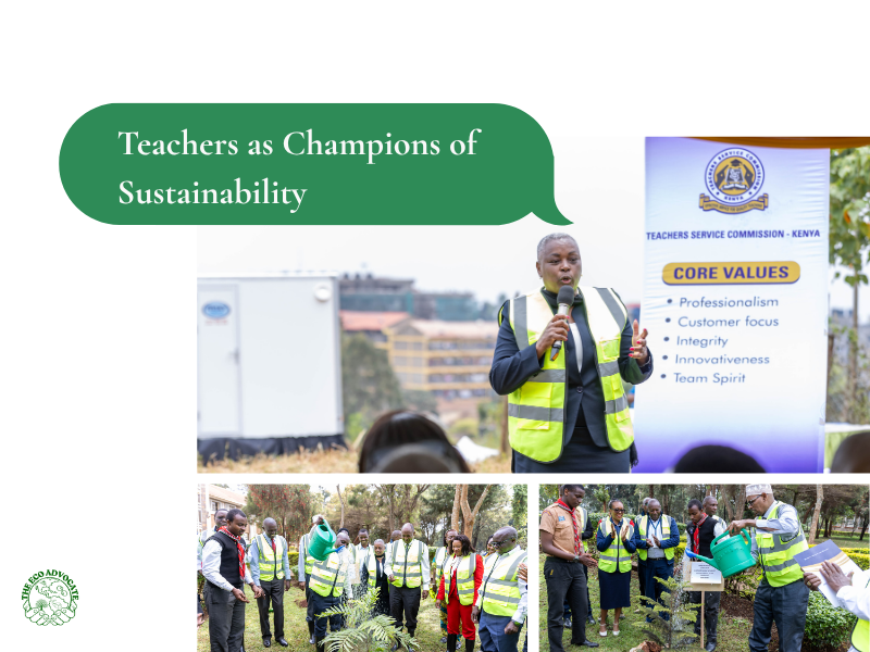 Teachers as Champions of Sustainability