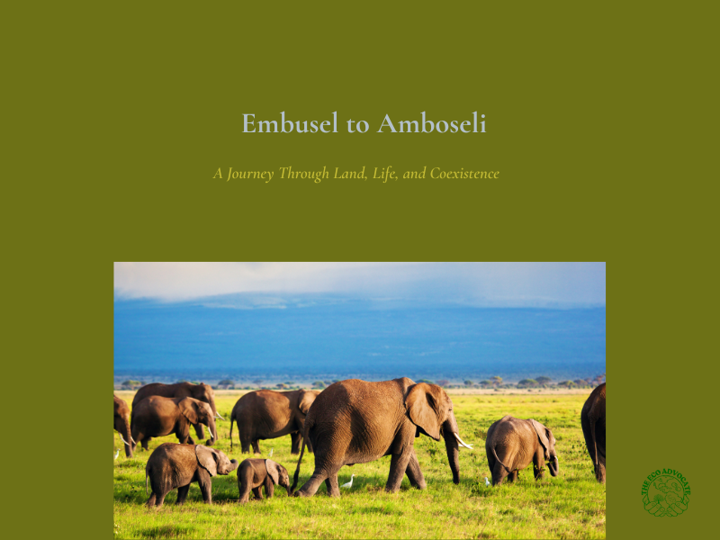 Embusel to Amboseli: A Journey Through Land, Life, and Coexistence