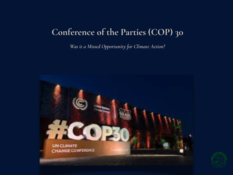 Conference of the Parties (COP) 30: Was it a Missed Opportunity for Climate Action?