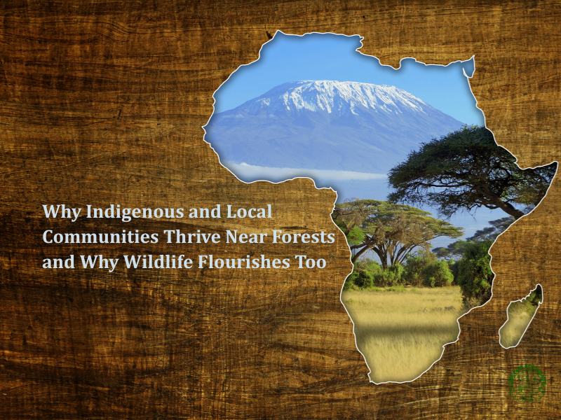 Why Indigenous and Local Communities Thrive Near Forests and Why Wildlife Flourishes Too