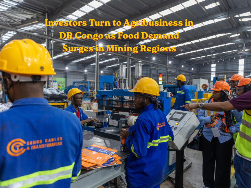 Investors Turn to Agribusiness in DR Congo as Food Demand Surges in Mining Regions