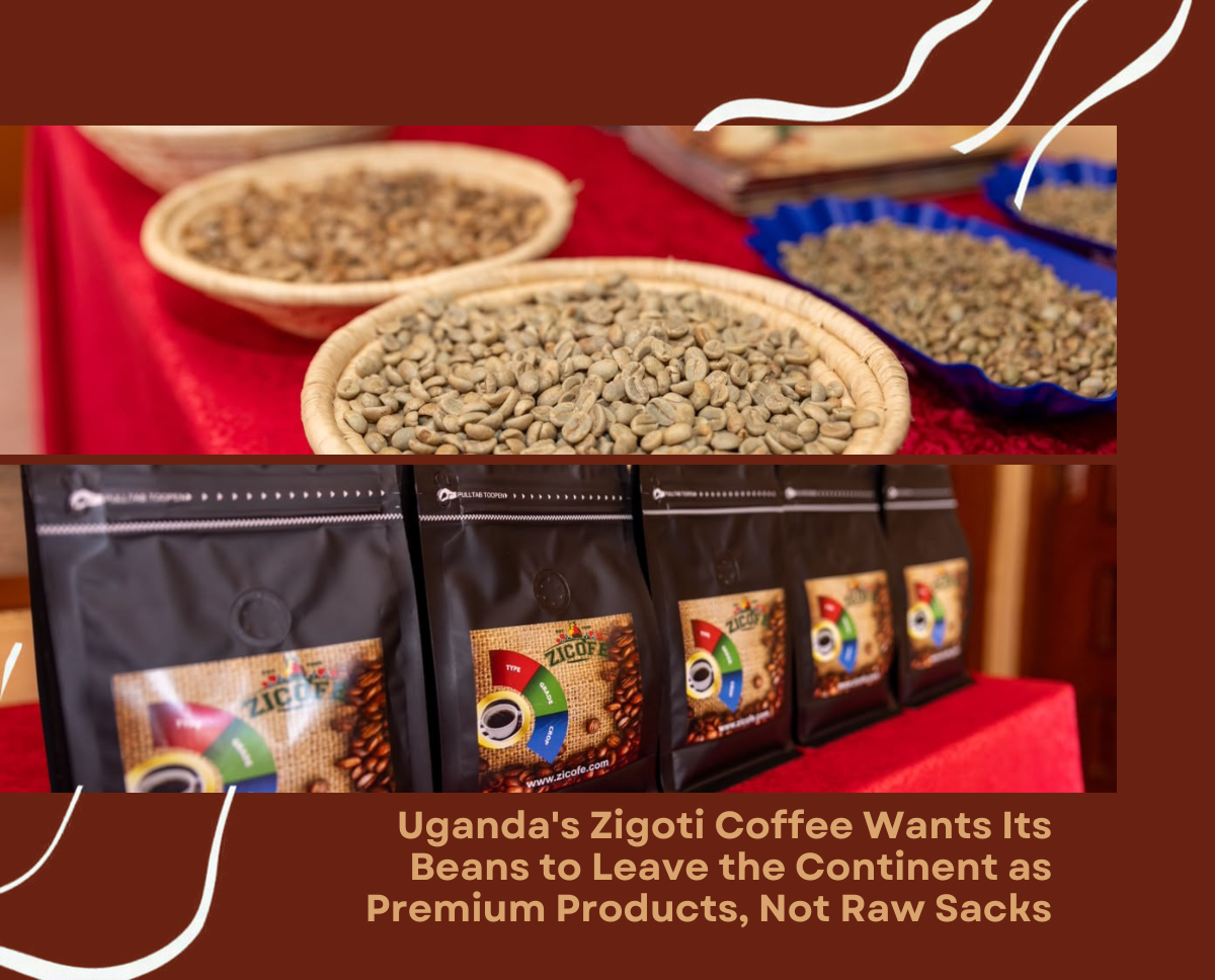 Uganda's Zigoti Coffee Wants Its Beans to Leave the Continent as Premium Products, Not Raw Sacks