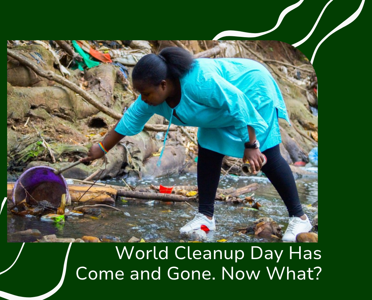 World Cleanup Day Has Come and Gone. Now What?