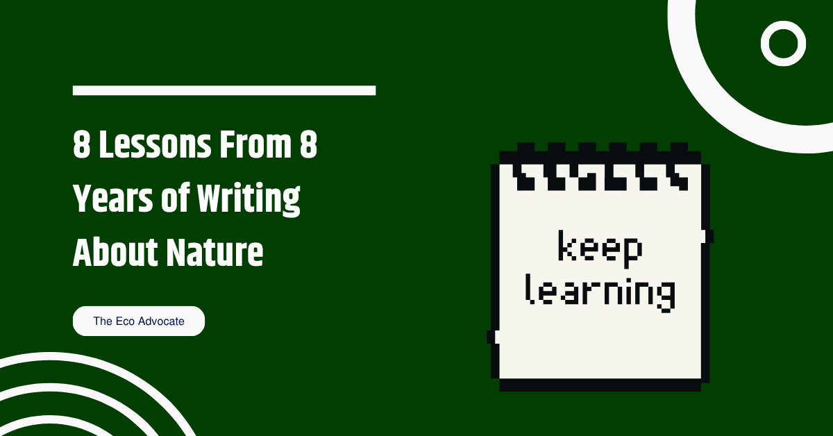 8 Lessons From 8 Years of Writing About Nature
