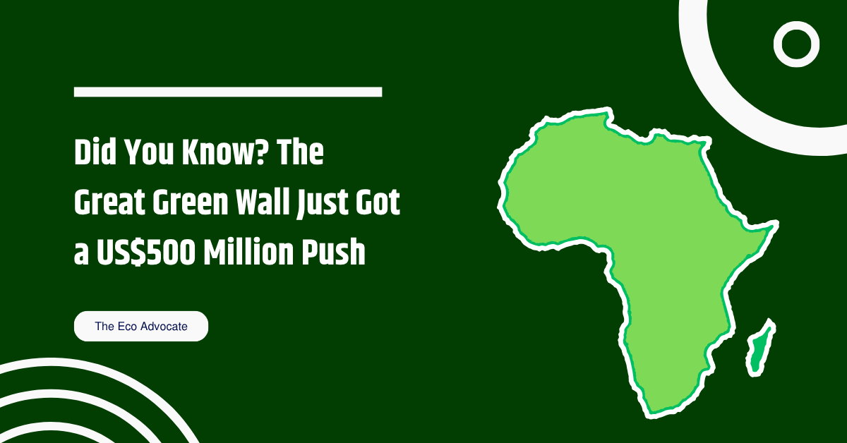 Did You Know? The Great Green Wall Just Got a US$500 Million Push