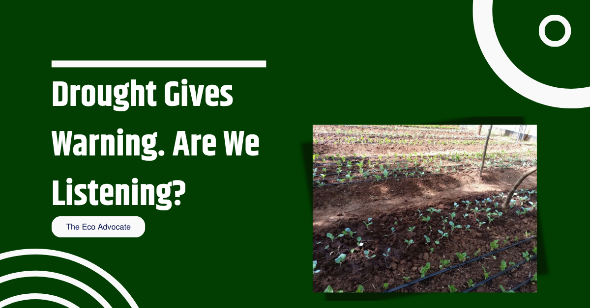 Drought Gives Warning. Are We Listening?