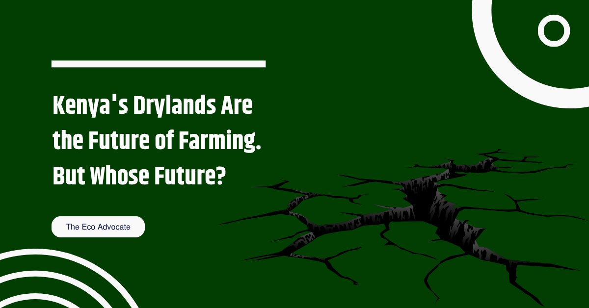 Kenya's Drylands Are the Future of Farming. But Whose Future?