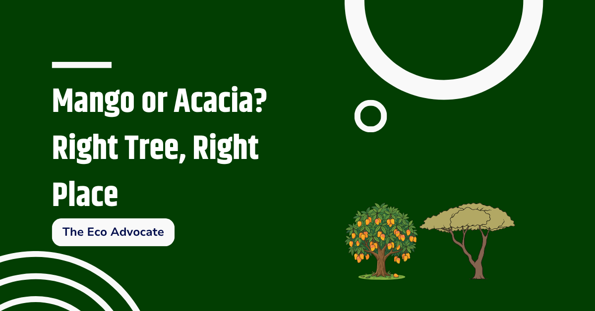Mango or Acacia? Right Tree, Right Place
