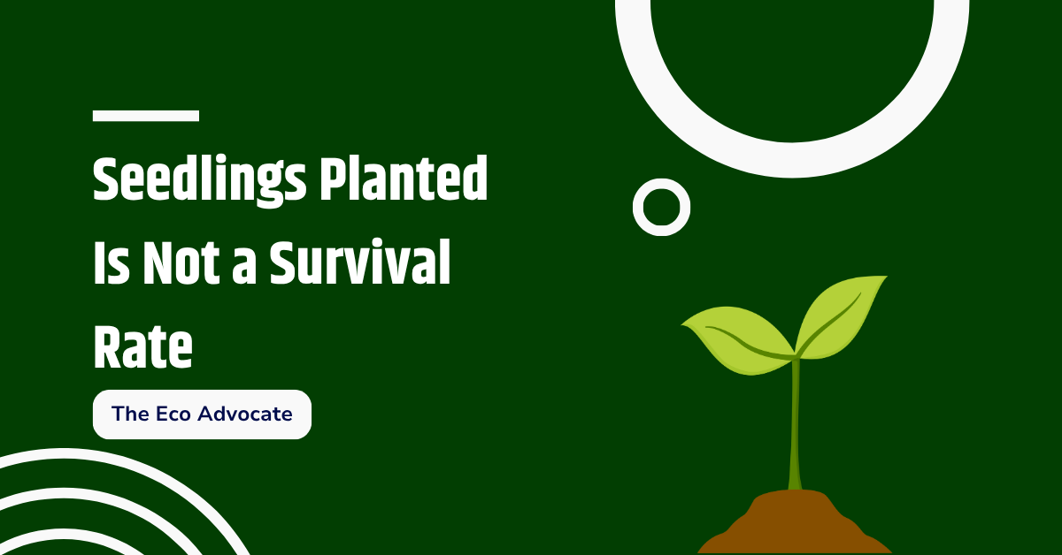 Seedlings Planted Is Not a Survival Rate