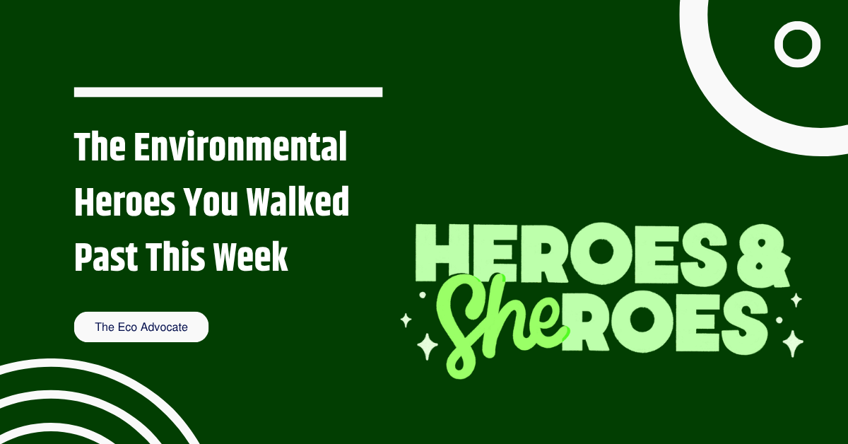 The Environmental Heroes You Walked Past This Week