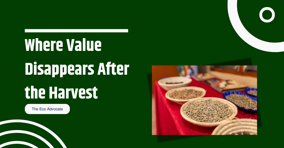 Where Value Disappears After the Harvest