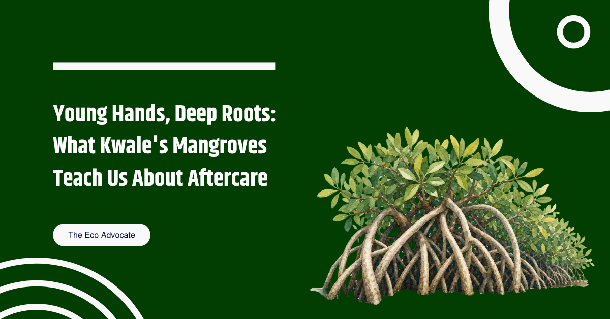 Young Hands, Deep Roots: What Kwale's Mangroves Teach Us About Aftercare